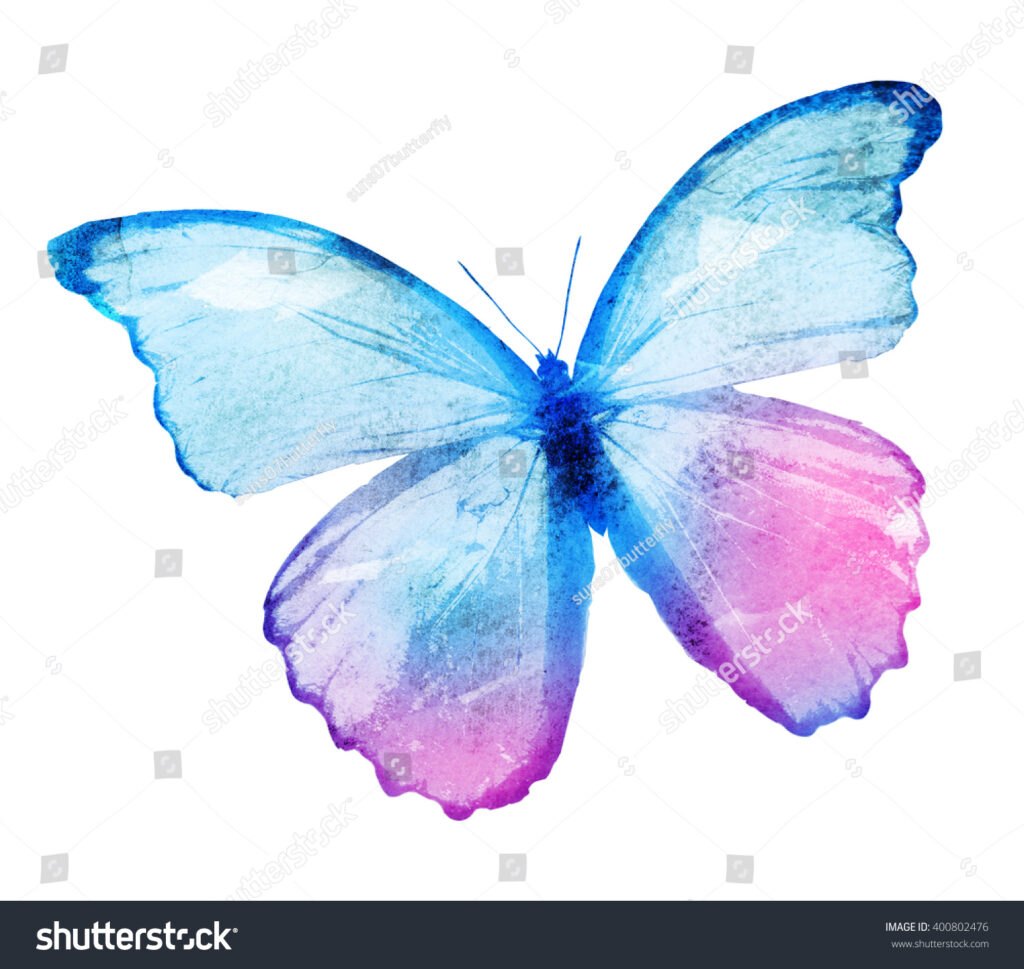 SH400802476 | Suns07butterfly | Watercolour Butterfly 4