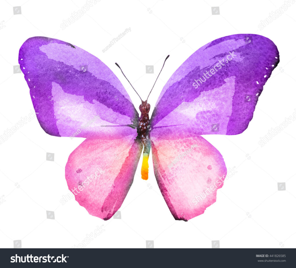 SH441826585 | Suns07butterfly | Watercolour Butterfly 2