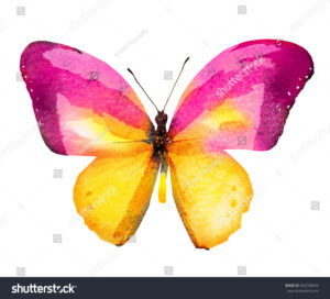 SH442708564 | Suns07butterfly | Watercolour Butterfly 1