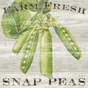 W20841 | Sue Schlabach | Farm Fresh Peas