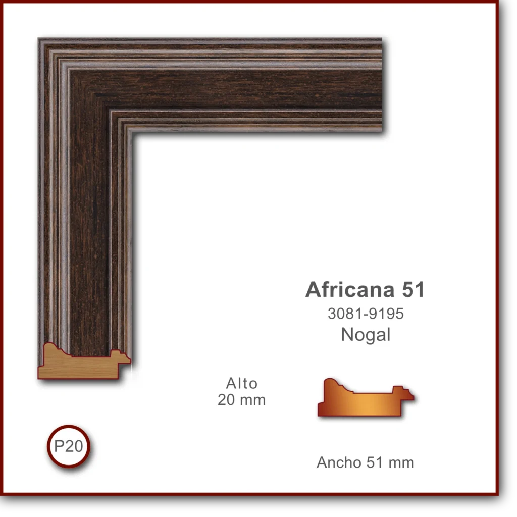 Africana 51 | Nogal | 3081-9195