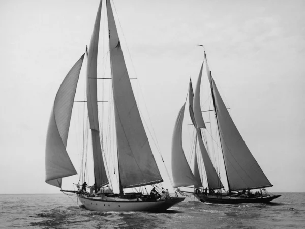 3LE955 | Edwin Levick | Sailboats Race during Yacht Club Cruise