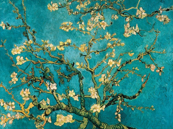 3VG052 | Vincent Van Gogh | Mandorlo in fiore