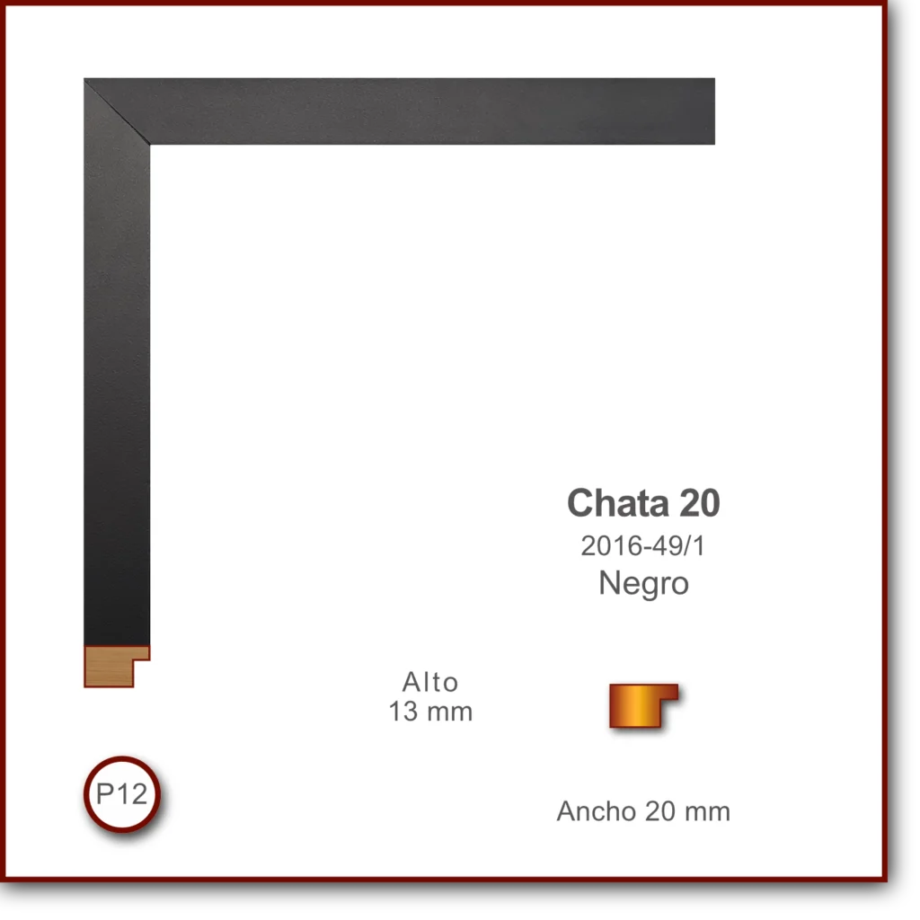 Chata 2013 | Negro | 2016-49/1