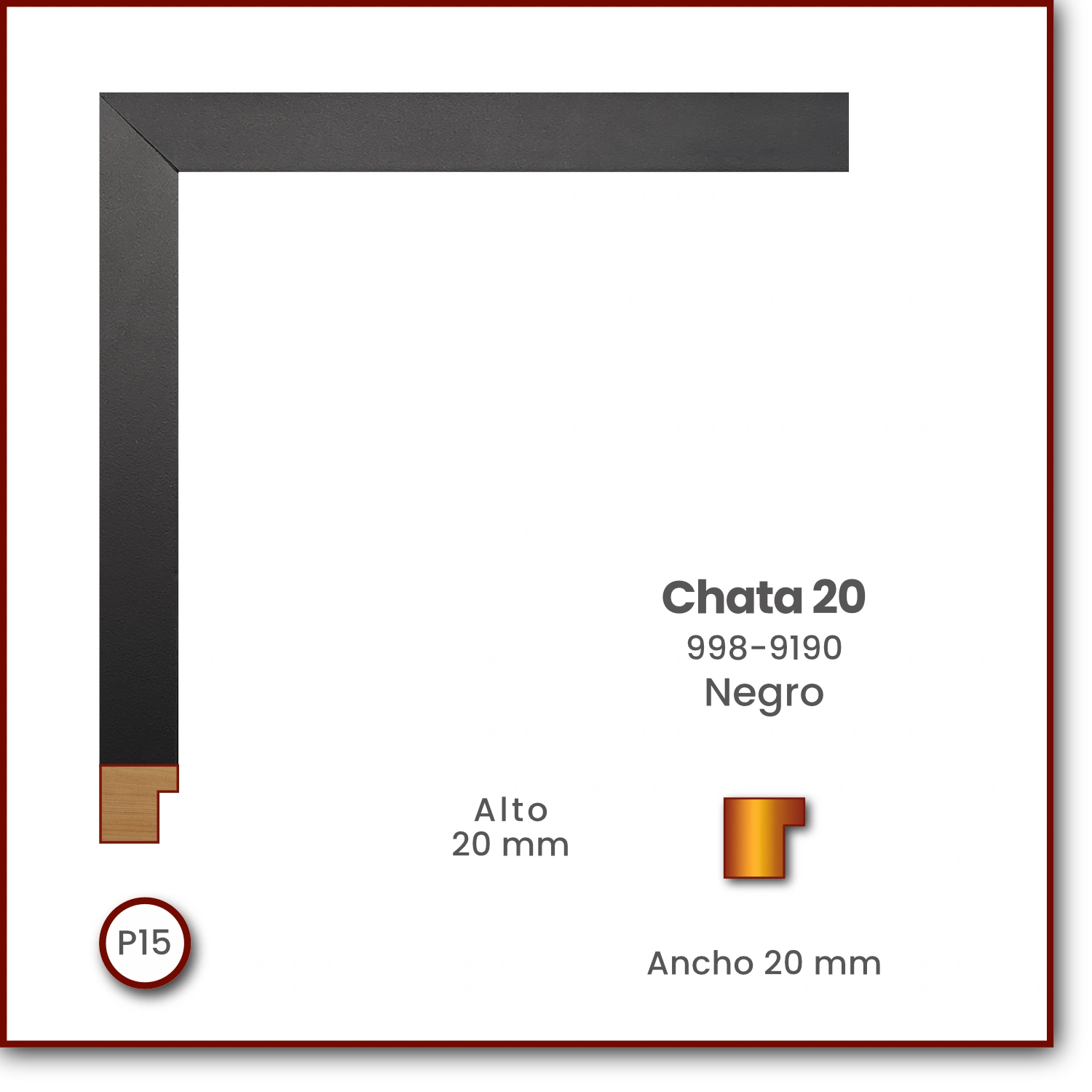 Chata 2020 | Negro | 998-9190