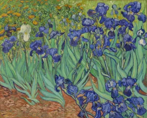 EVG001 | Vincent Van Gogh | Irises (1890)